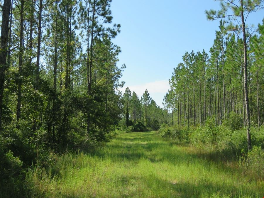 Interlachen Timber and Conservation Tract