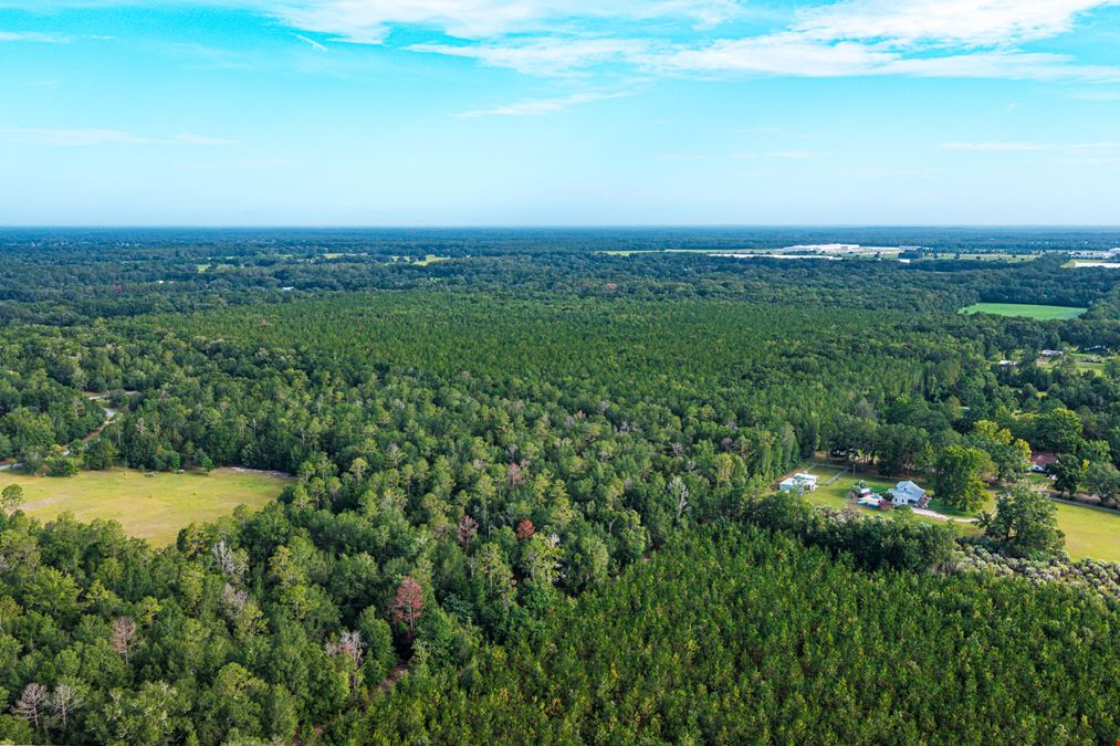 Alachua Multi-Acre Home Development Site