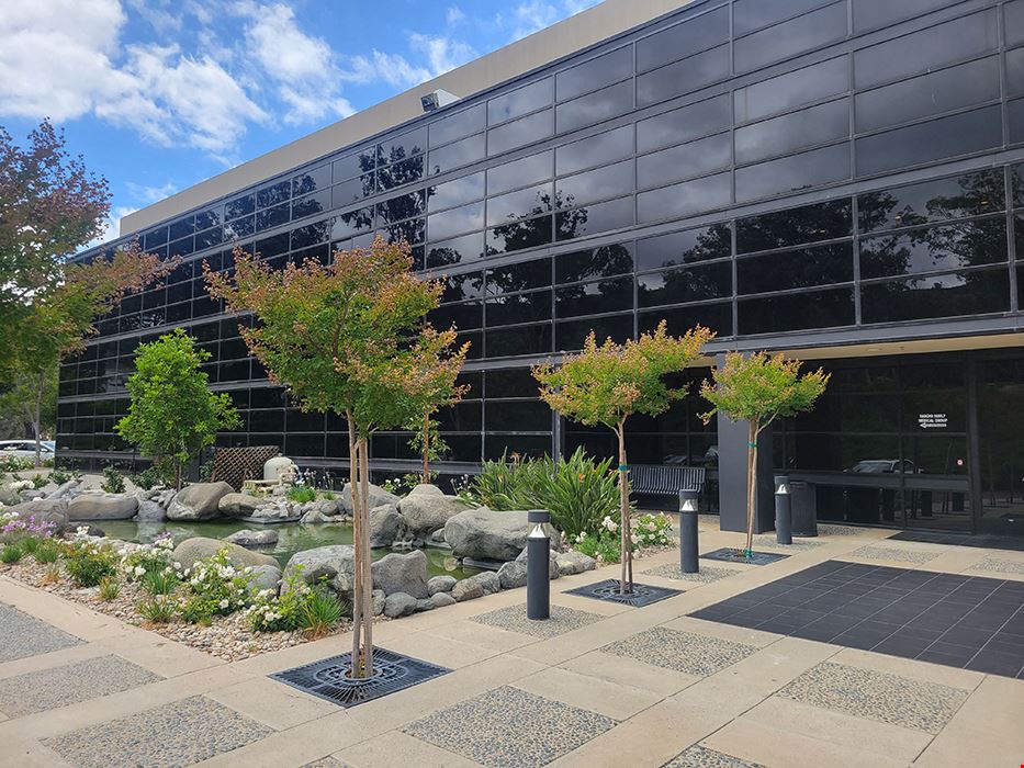 Single Oak Center