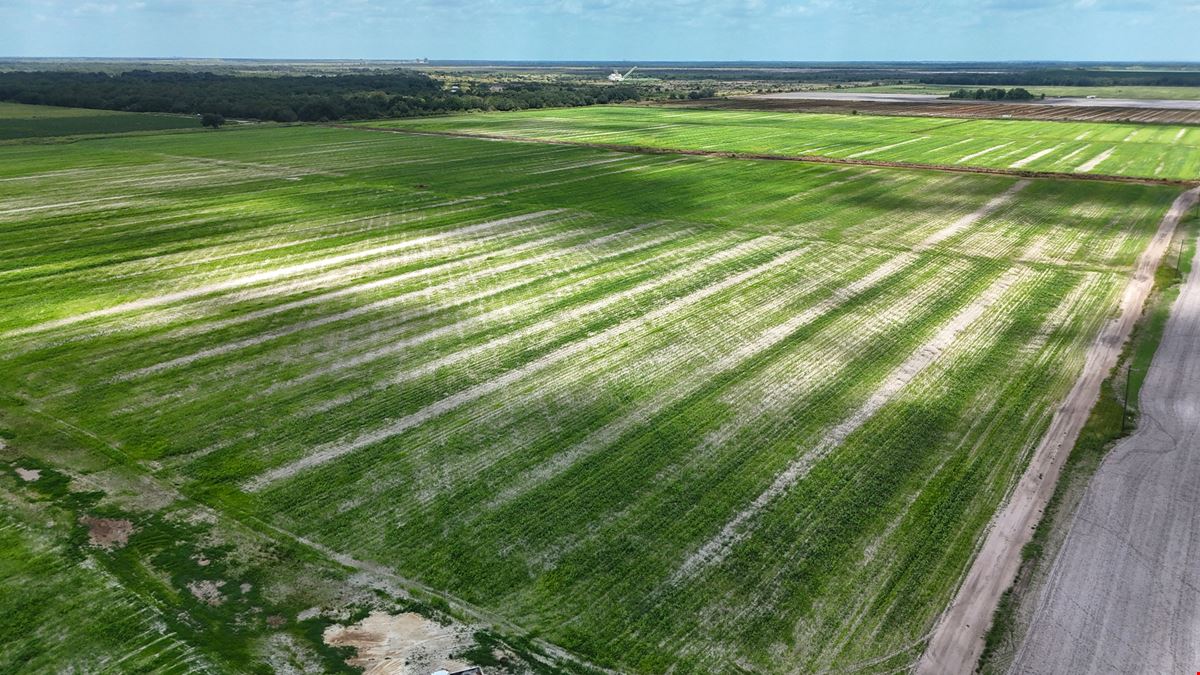West Wauchula Farm