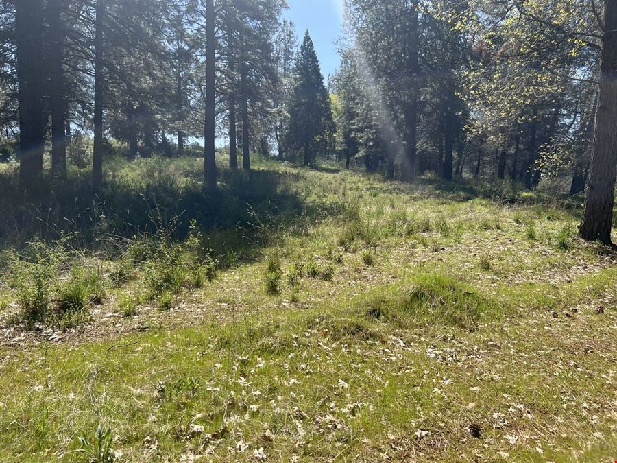 Litton Business Park | Ridge Road Lot 13 & 14