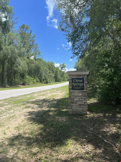 Citrus County 189 Acres