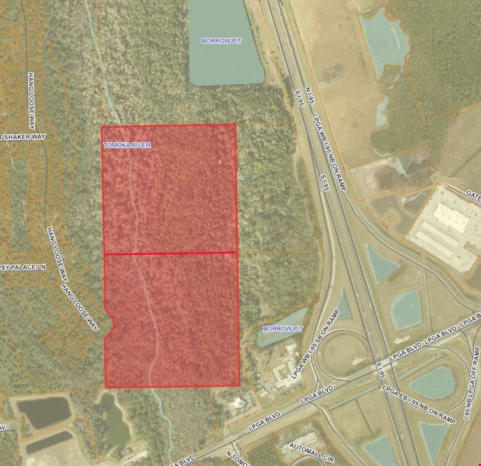 Daytona Beach 80 Acre Development Site - LPGA & I-95