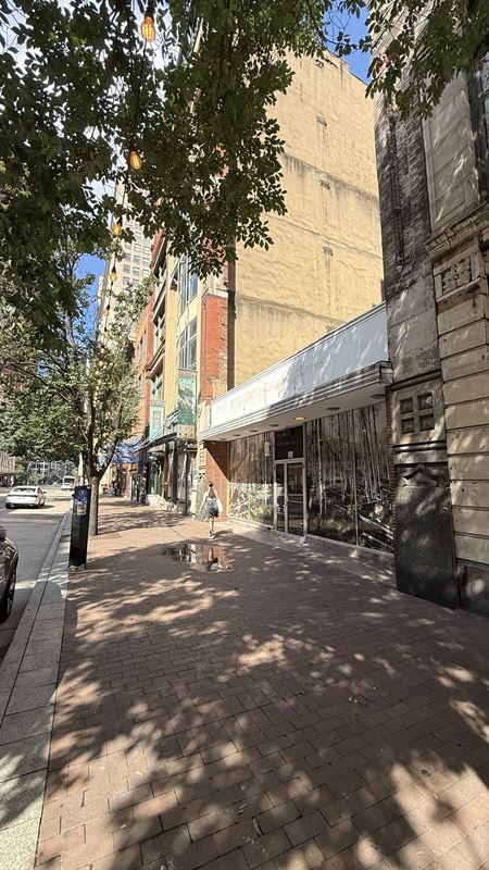 Preview of Retail space for Rent at 817 Liberty Avenue