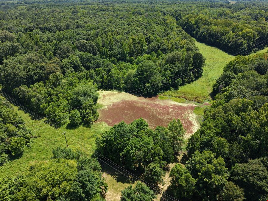 Highway 231 Commercial Lot