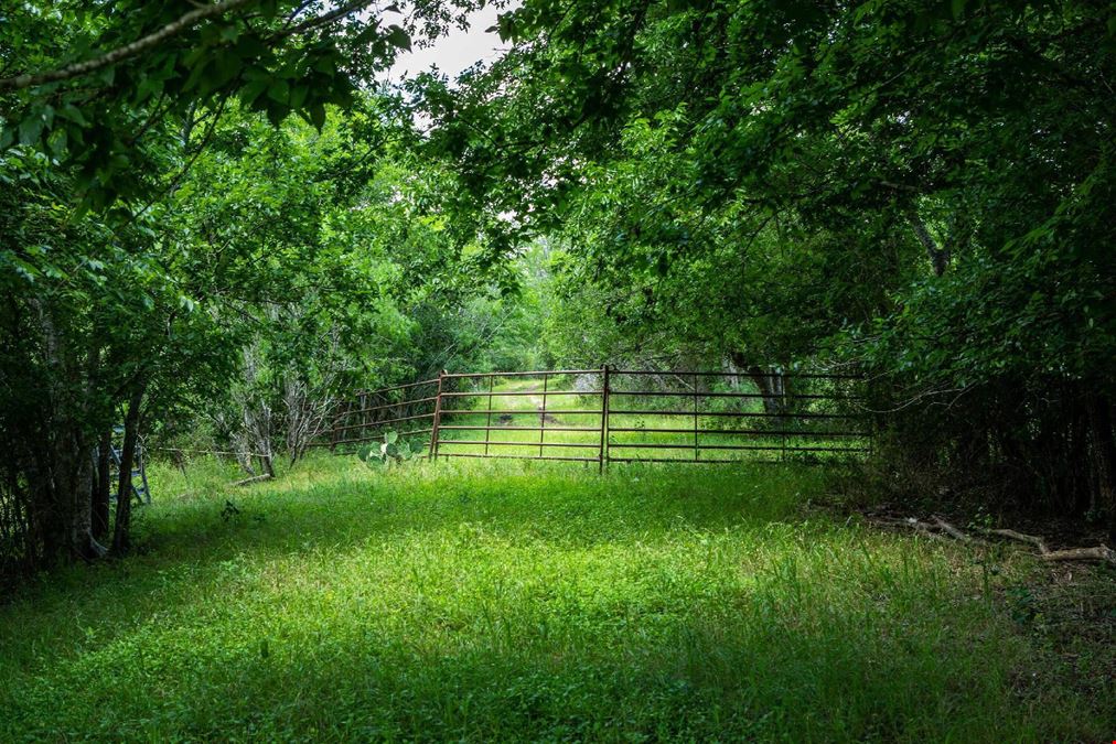 S US Highway 183