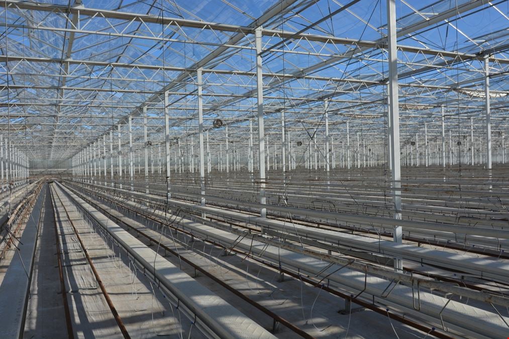 Large-Scale Industrial Greenhouse Operation