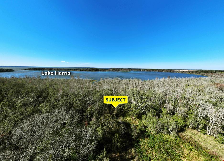 Prime Development Opportunity: Lake Harris & Highway 19