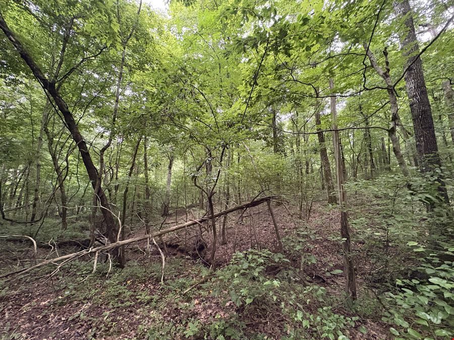 152.86± Acre Land Assemblage - Knox Ln & Beech St, Clarksville TN