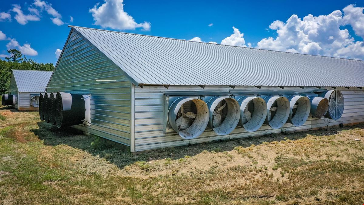 Mena AR Broiler Chicken Farm