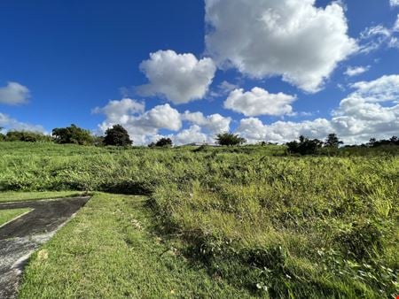 Preview of VacantLand space for Sale at PR-198, Km. 22.4 Montones Ward