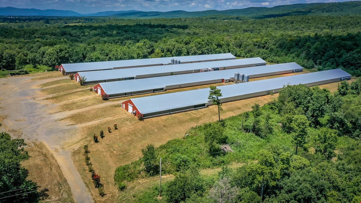 Mena AR Broiler Chicken Farm