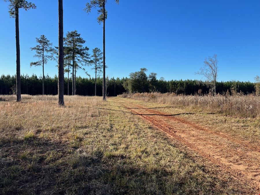 Lily Pad Ranch 1,472± Acres in Northwest Florida – Premier Recreational & Timber Investment Tract