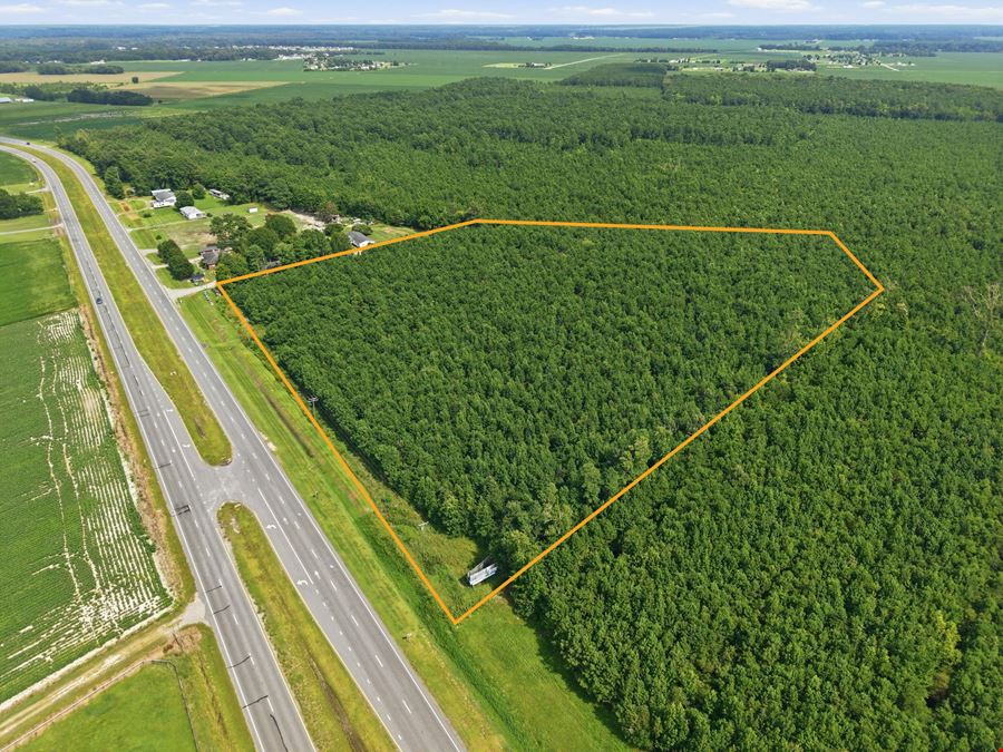 Prime Commercial Development Land on US Highway 17 | Hertford NC
