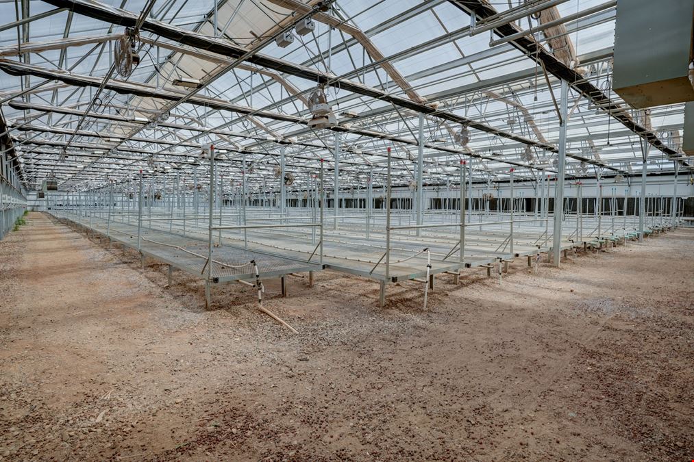 42,300 SF Flex Greenhouse Facility in Prescott Valley
