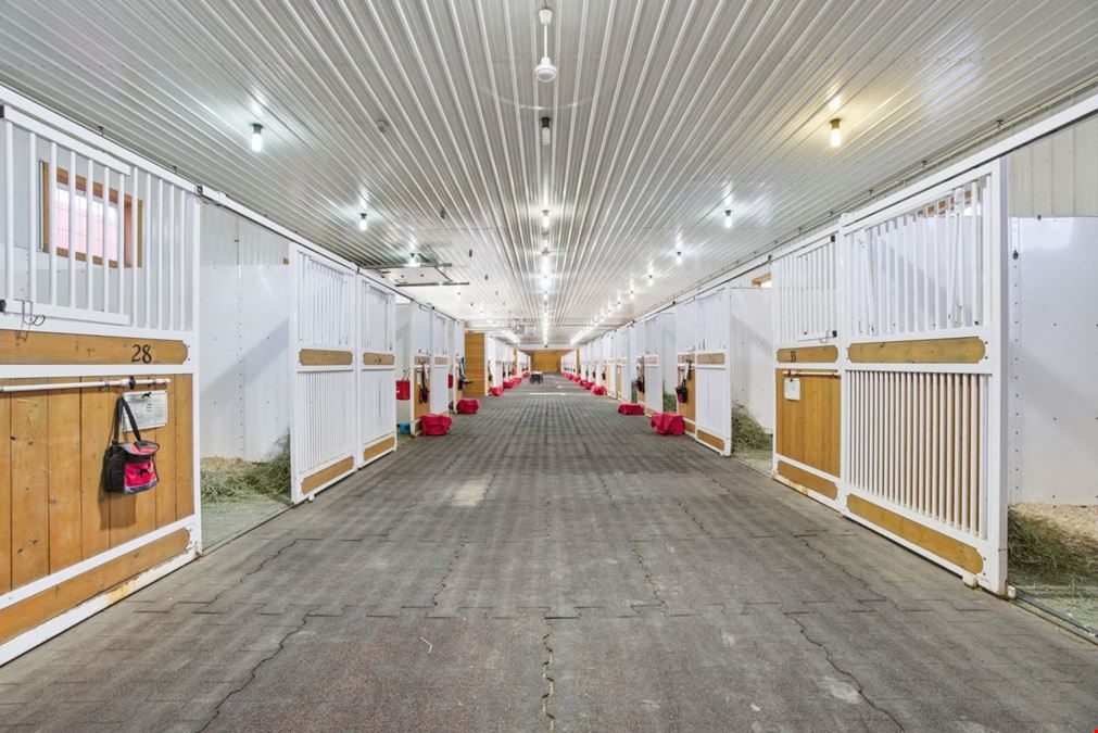 World-Class Equestrian in Central Alberta (Canada)
