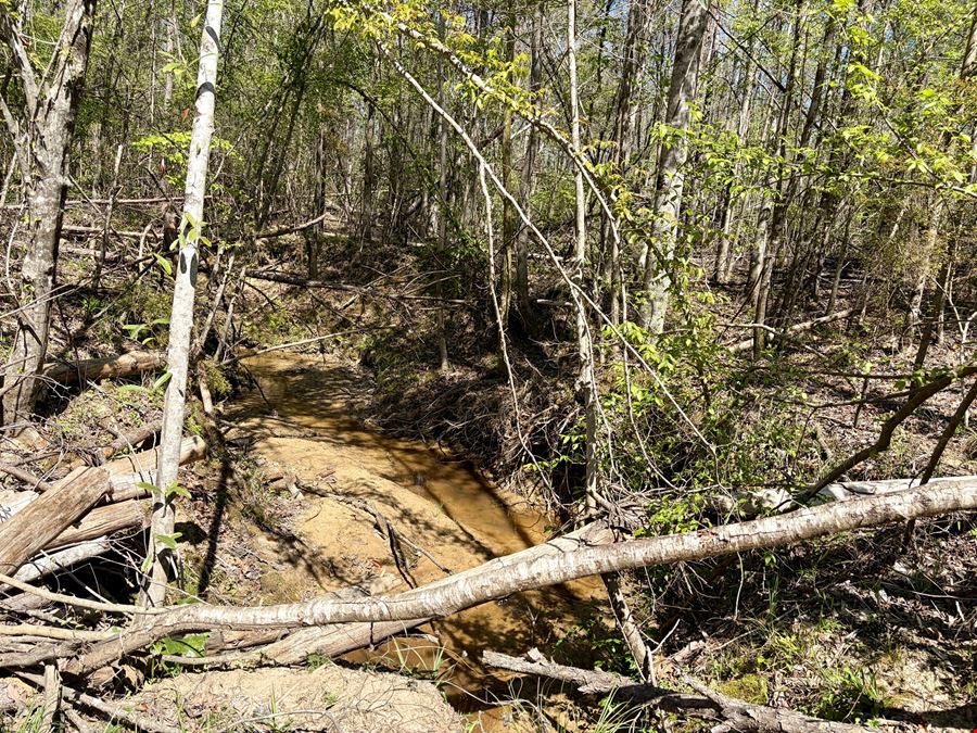 Georgiana Recreation Tract