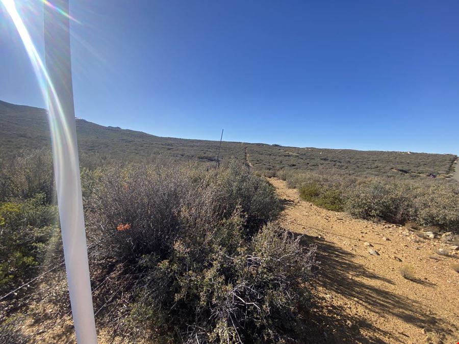 Arizona Land No Reserve Land Auction