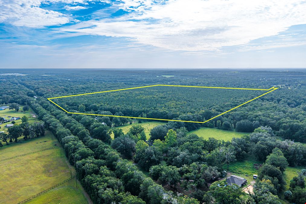 Alachua Multi-Acre Home Development Site