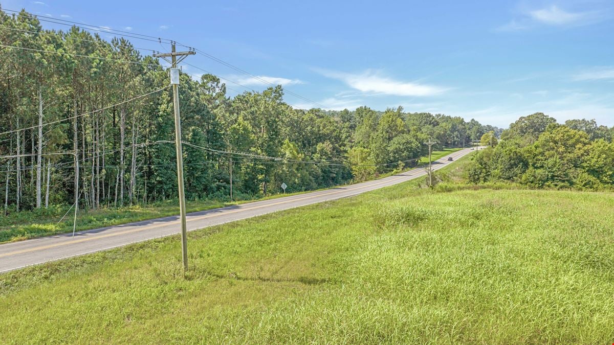 Henagar Investment Land 41 Acres
