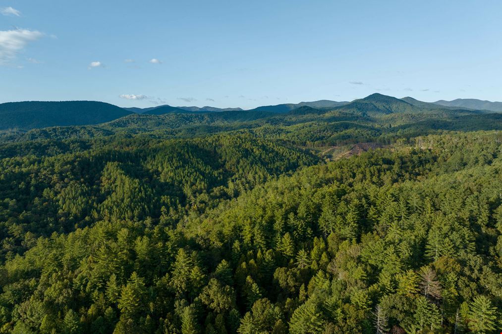 1,429 Acres For Sale