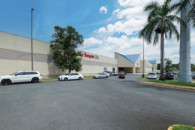 Preview of Retail space for Rent at STATE RD PR-159