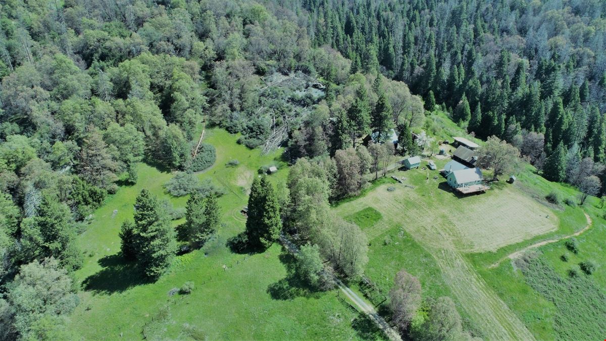 43267D Bear Creek Road