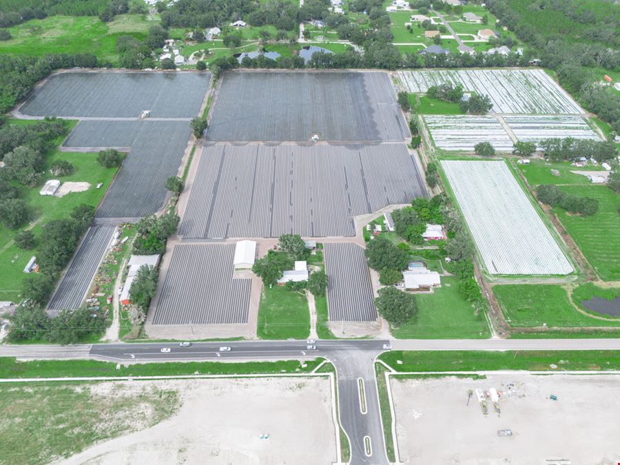 Trapnell Residential Development