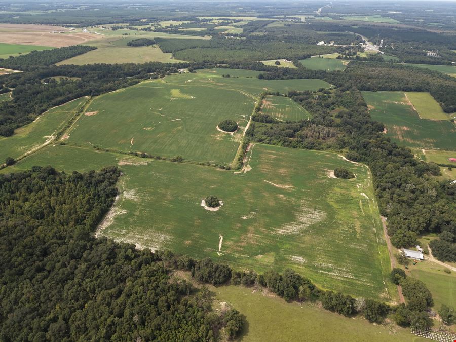 305.50 Acres Campbellton Land Development Opportunity