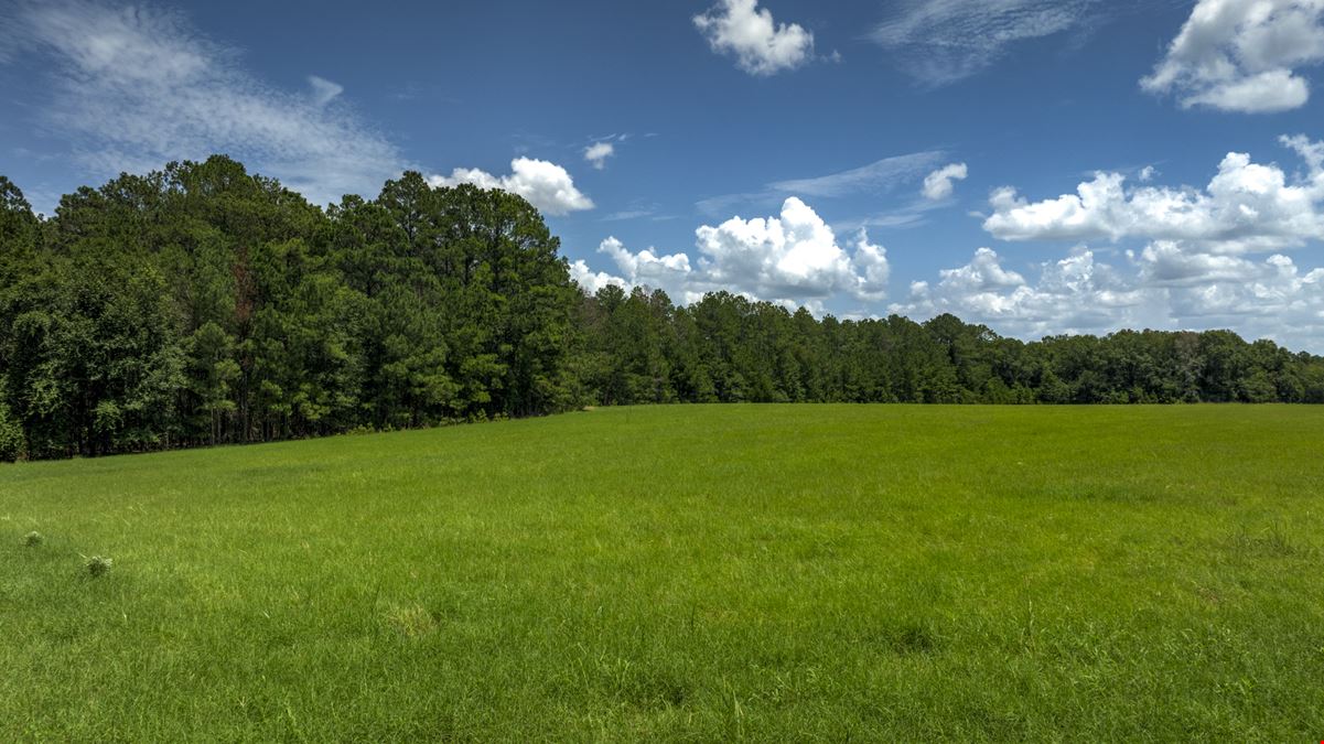 Beasley Homeplace 'Tract 1B'