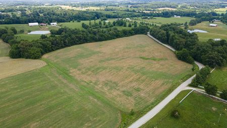 Preview of VacantLand space for Sale at County Road 452