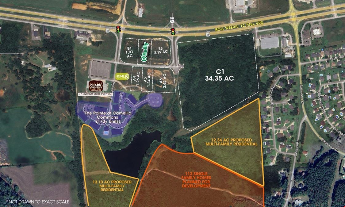 Camellia Commons- Land Available for Sale