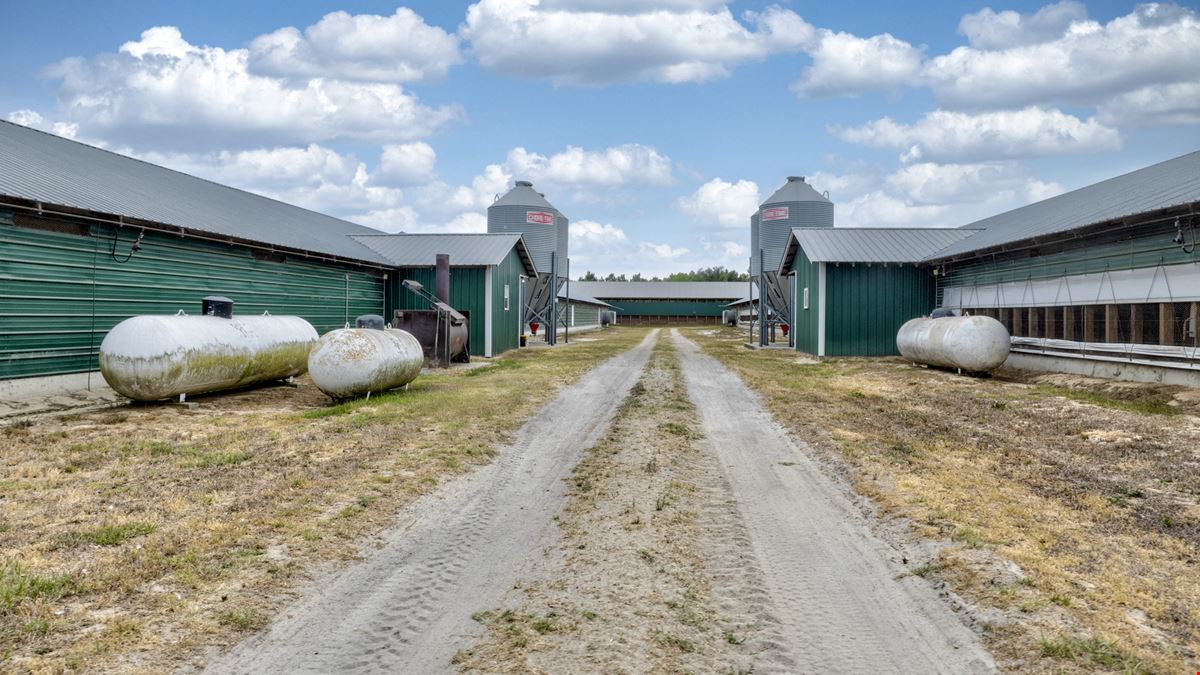 Timber Ridge Farm - Poultry and Homeplace Package
