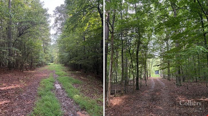 ±97.79 Acres Ready for Development in Spartanburg County