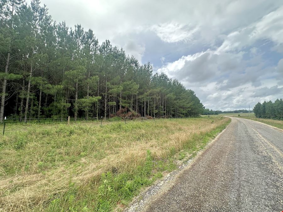 Searcy Branch Timber and Rec