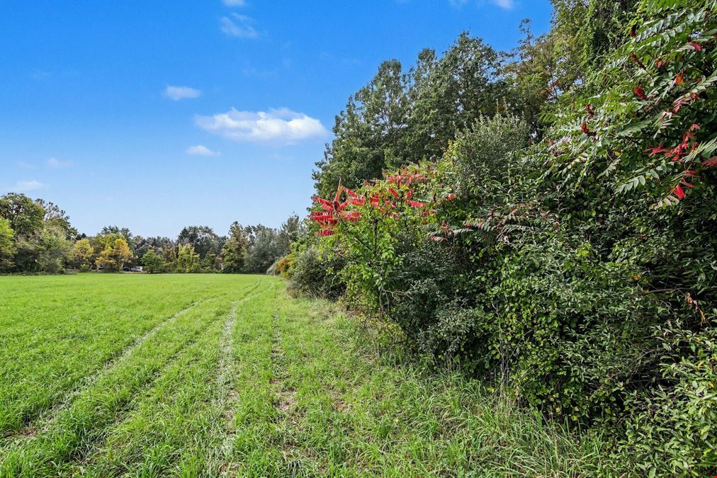 39 Acres Land for Sale - Belleville
