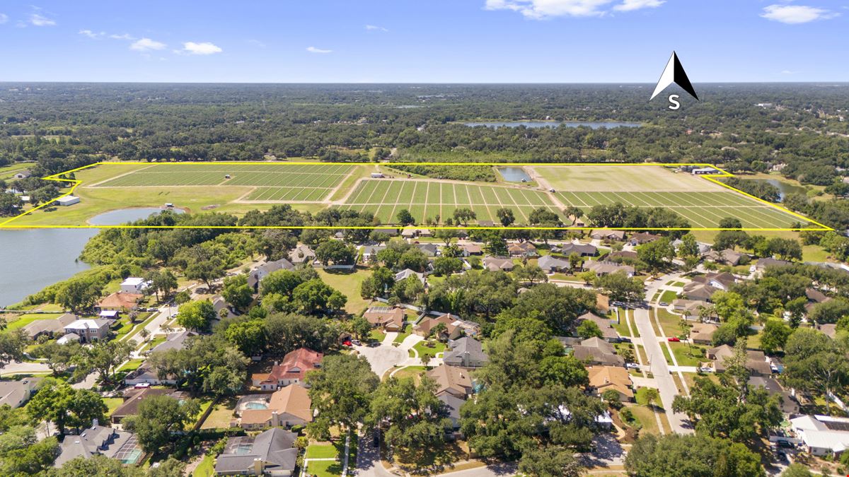 Old Hillsborough Lakefront Development