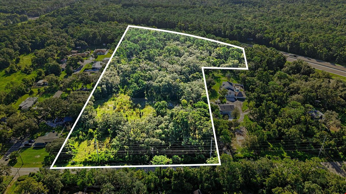 Lutz Premier Development Site