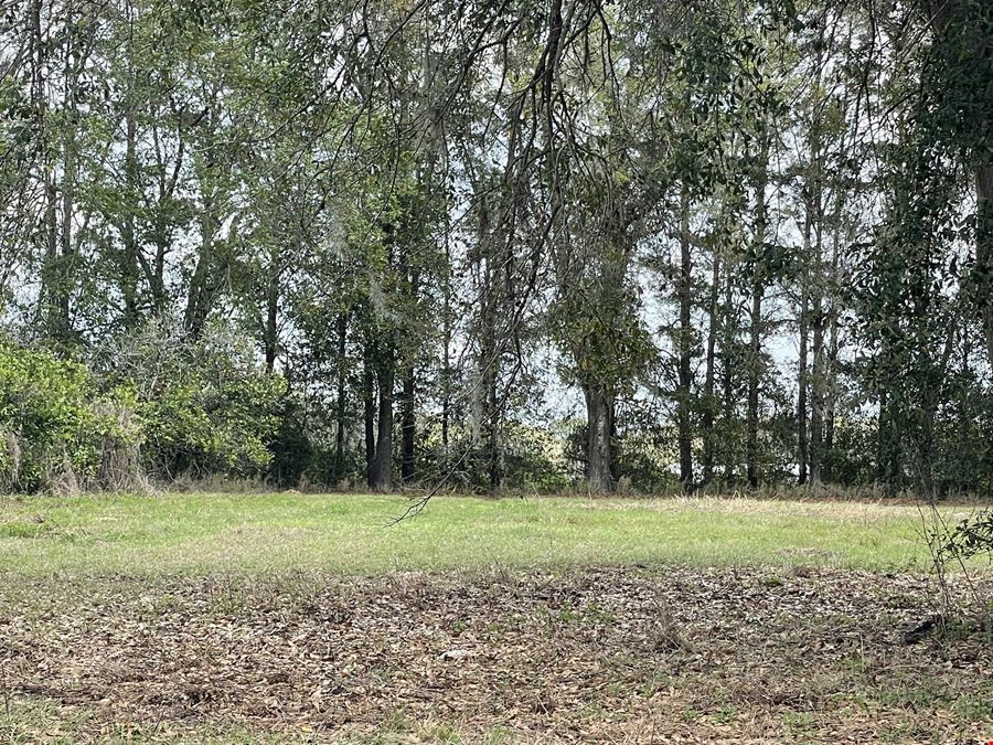 Weirsdale 30 Acre Tract