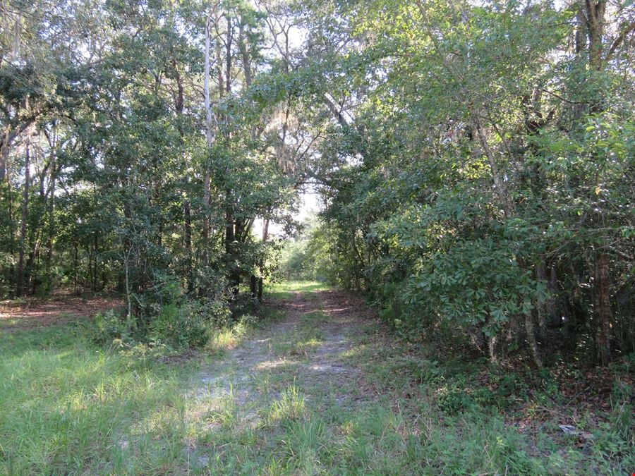 Interlachen Timber and Conservation Tract