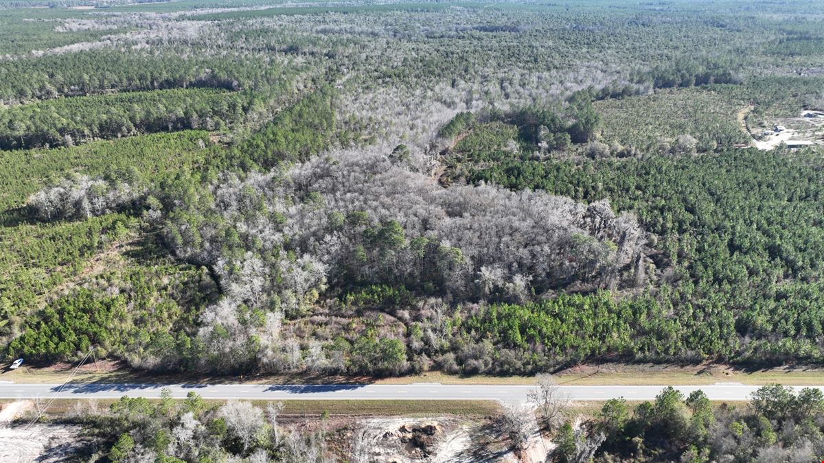 Clinch County 95 Acres Timber and Hunting Tract