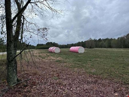 Preview of VacantLand space for Sale at Good Farm Rd
