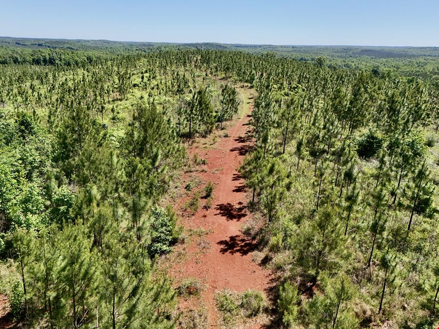 Longleaf Ridge