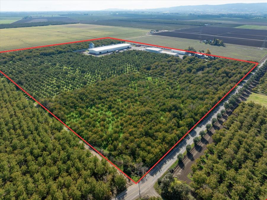 Organic Walnut Orchard & Processing Facility