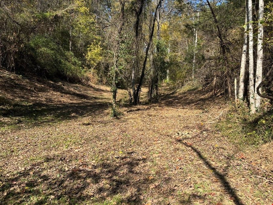 Residential Development Tract With 2 Single-family Residences