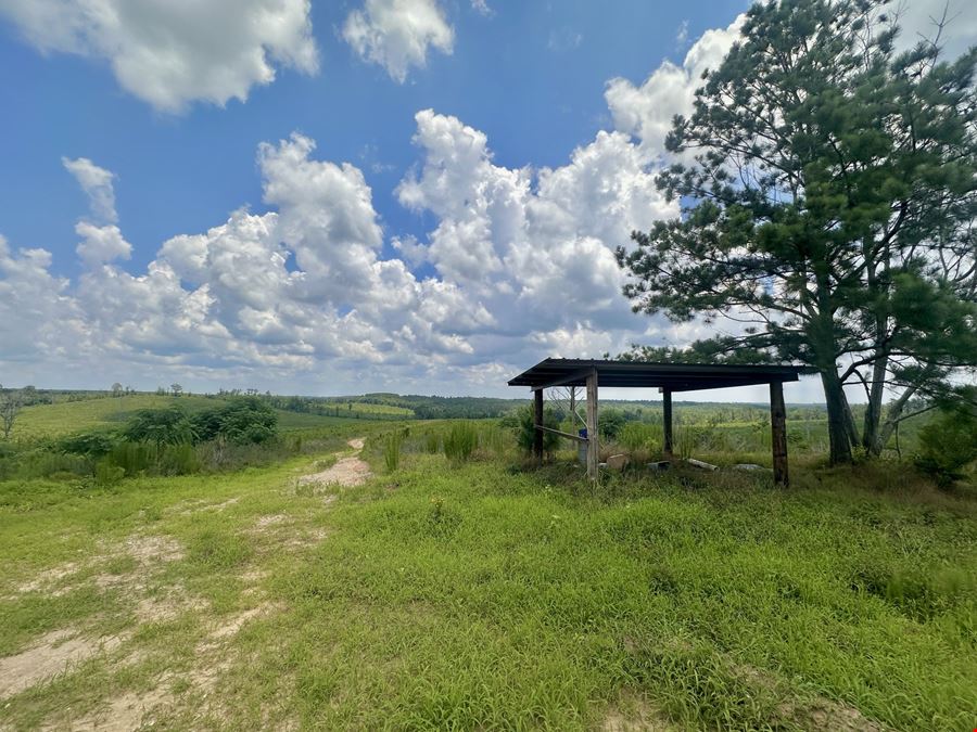Clopton 280