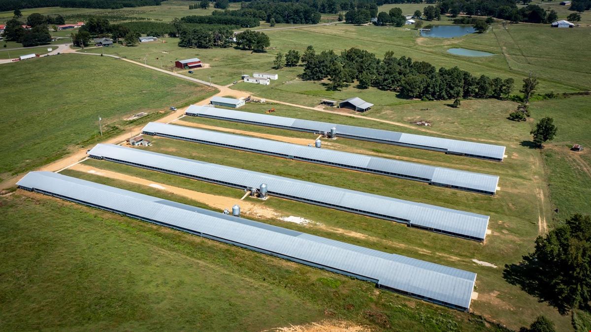 Hope Arkansas Chicken Farm