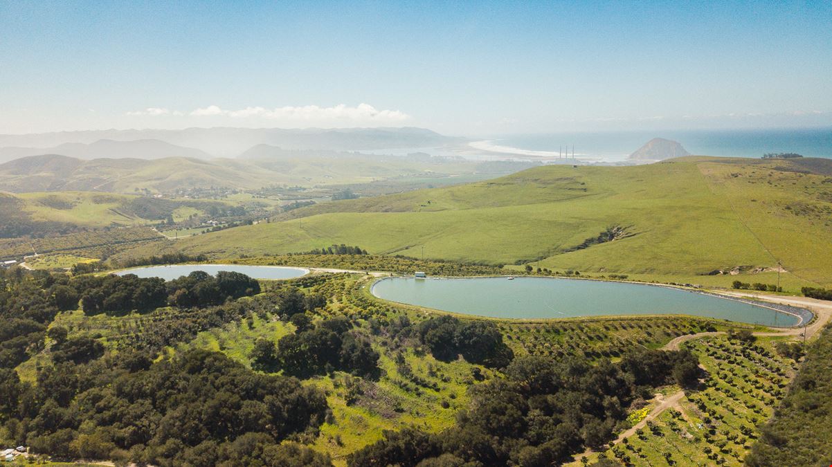 PREMIER 350-ACRE CENTRAL COAST AVOCADO RANCH