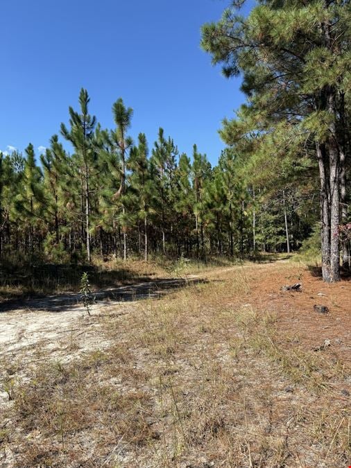 Timber & Recreation Tract