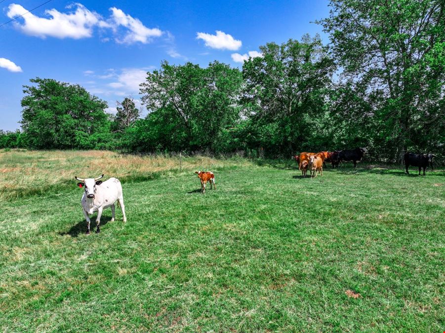 Land for Sale in Lone Oak